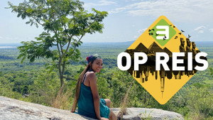 3 op Reis kép