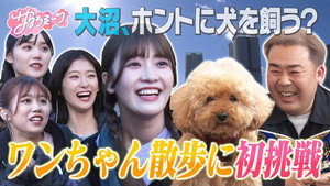 サクラミーツ 2. évad Ep.13 13. epizód