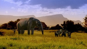 Walking with Beasts kép