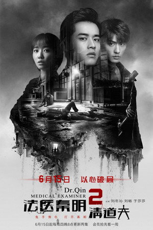 法医秦明2清道夫 poszter