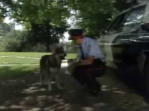 The Littlest Hobo 4. évad Ep.2 2. epizód