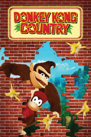 Donkey Kong Country poszter