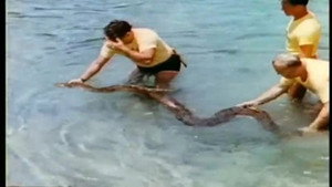 Mutual of Omaha's Wild Kingdom 2. évad Ep.1 1. epizód
