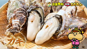 有吉のお金発見　突撃！カネオくん 2. évad Ep.272 272. epizód