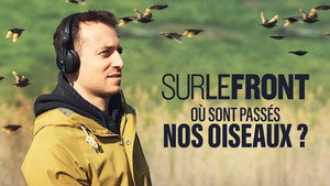 Sur le front 3. évad Ep.9 9. epizód