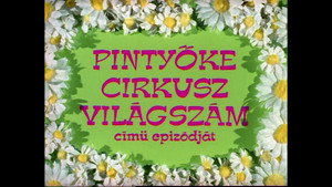 Mirr Murr a kandúr 2. évad Ep.8 Pintyőke cirkusz világszám