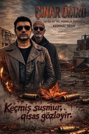 Çinar ömrü poszter