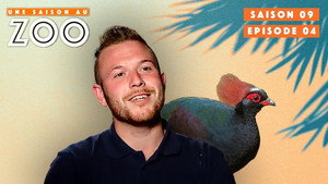 Une saison au zoo 9. évad Ep.4 4. epizód