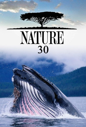 Nature 30. évad (2011-10-19) poszter