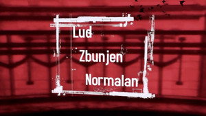 Lud, zbunjen, normalan kép