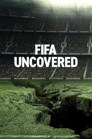 A FIFA titkai Minisorozat (2022-11-09) poszter