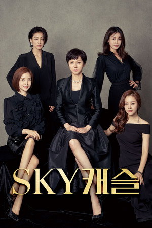 SKY Castle 1. évad (2018-11-23) poszter