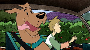 Bozont és Scooby-Doo 2. évad Ep.1 1. epizód