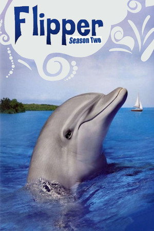 Flipper 2. évad (1965-09-18) poszter