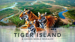 Tiger Island kép