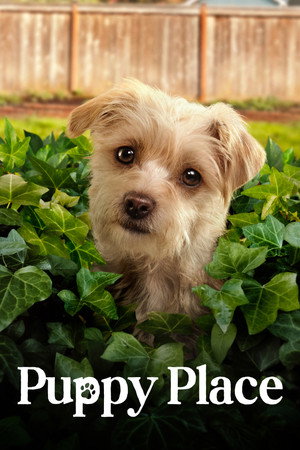 Kutyuskuckó 2. évad (2022-12-08) poszter