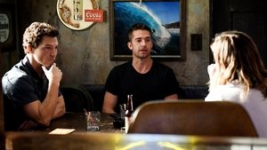 Animal Kingdom 2. évad Ep.6 6. epizód