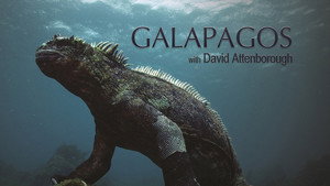 Galápagos - David Attenborough sorozata kép