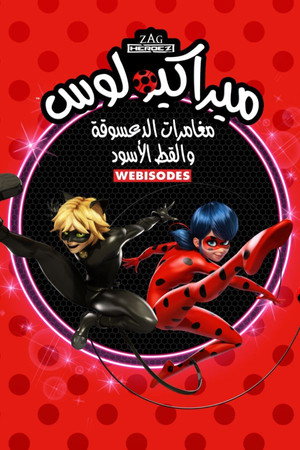 Miraculous : Les secrets poszter