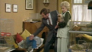 Terry and June 1. évad Ep.6 6. epizód