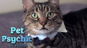 The Pet Psychic 1. évad Ep.4 4. epizód
