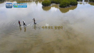 김병만의 정글의 법칙 1. évad Ep.205 205. epizód