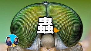 老高与小茉 Speciális epizódok Ep.148 148. epizód