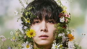 一次元の挿し木 kép