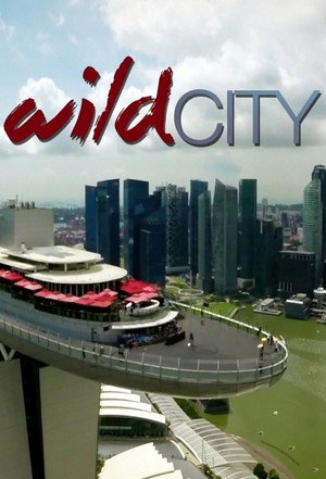 Wild City 1. évad (2016-03-15) poszter