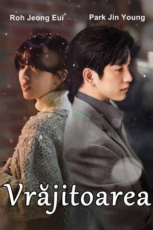 마녀 poszter