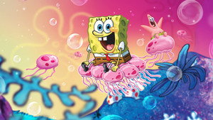 SpongyaBob Kockanadrág kép