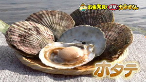 有吉のお金発見　突撃！カネオくん 3. évad Ep.10 10. epizód