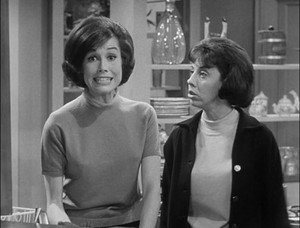 The Dick Van Dyke Show 4. évad Ep.29 29. epizód