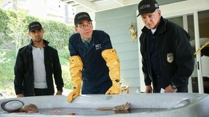 NCIS: Tengerészeti helyszínelők 16. évad Ep.2 Szeresd a szomszédodat