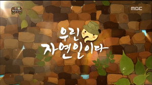 무한도전 3. évad Ep.503 503. epizód