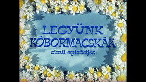 Mirr Murr a kandúr 2. évad Ep.3 Legyünk kóbormacskák