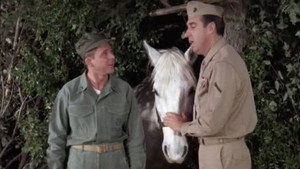 Gomer Pyle, U.S.M.C. 4. évad Ep.24 24. epizód
