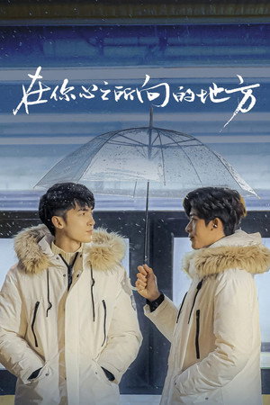 在你心之所向的地方 poszter