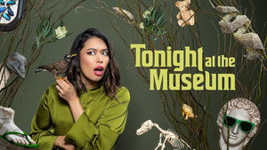 Tonight at the Museum kép