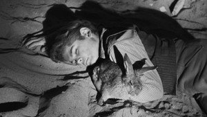 Cheyenne 3. évad Ep.16 16. epizód