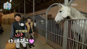 마이 리틀 텔레비전 1. évad Ep.49 49. epizód