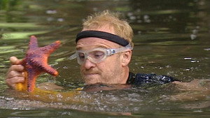 I'm a Celebrity...Get Me Out of Here! 2. évad Ep.8 8. epizód