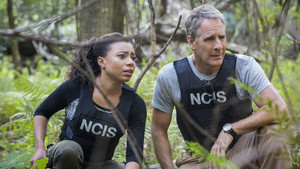 NCIS: New Orleans 2. évad Ep.8 8. epizód