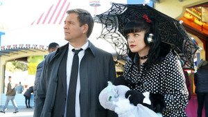NCIS: Tengerészeti helyszínelők 13. évad Ep.12 Testvér város