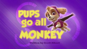 PAW Patrol 1. évad Ep.20 20. epizód