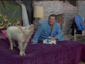 Green Acres 5. évad Ep.15 15. epizód
