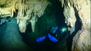 The Magic of the Big Blue. Seven Continents 1. évad Ep.6 6. epizód