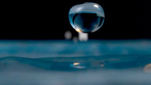 H2O: The Molecule that Made Us kép