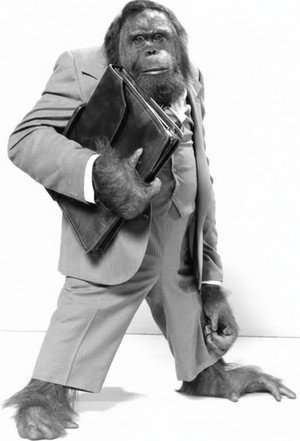 Mr. Smith poszter