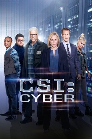 CSI: Cyber helyszínelők poszter